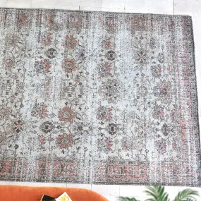 Souka Greige and Coral Distressed Rug